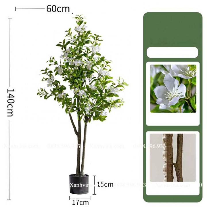 cây hoa sim giả